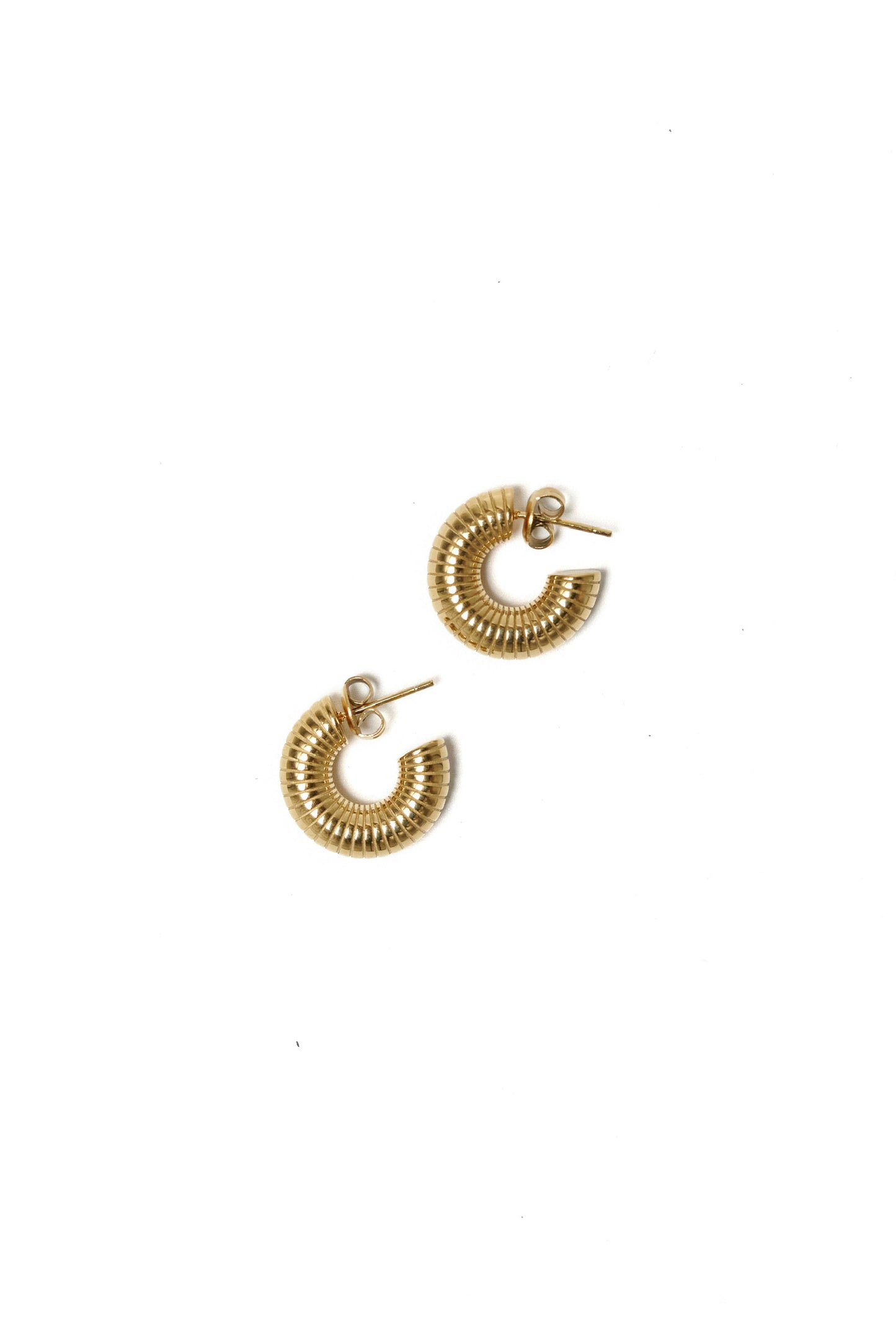 FOSSIL EARRINGS (SMALL)